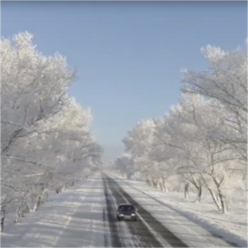 Overwinter 